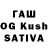 Псилоцибиновые грибы GOLDEN TEACHER QUSH GAMING
