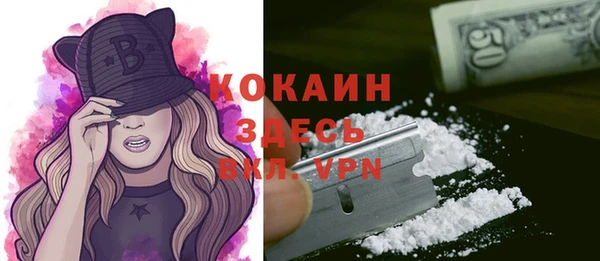 крисы Абаза