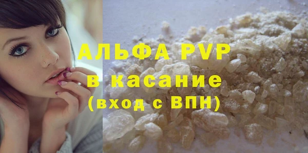 крисы Абаза