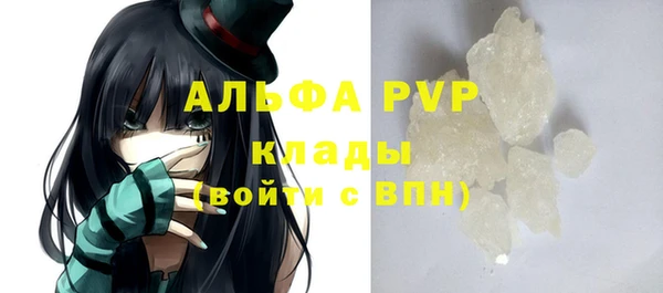 крисы Абаза