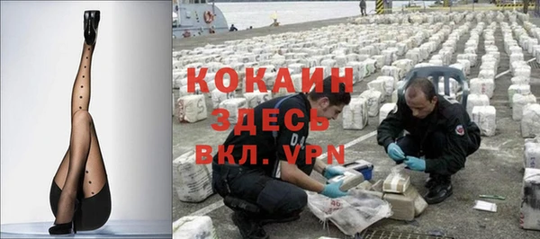 крисы Абаза