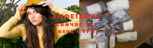крисы Абаза