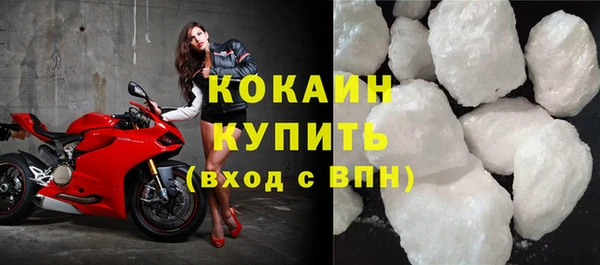крисы Абаза