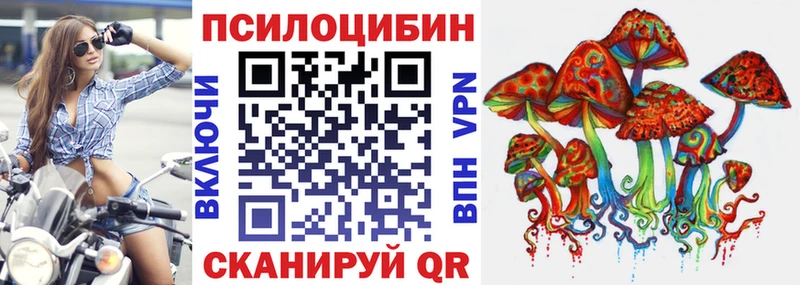 цена   Усмань  Псилоцибиновые грибы GOLDEN TEACHER 